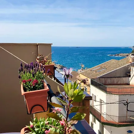 Hotel Medium Montecarlo *