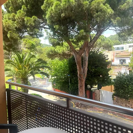 Medium Montecarlo